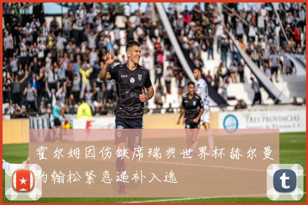 霍尔姆因伤缺席瑞典世界杯赫尔曼约翰松紧急递补入选