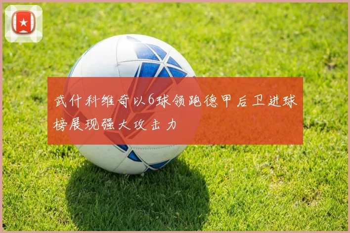 武什科维奇以6球领跑德甲后卫进球榜展现强大攻击力